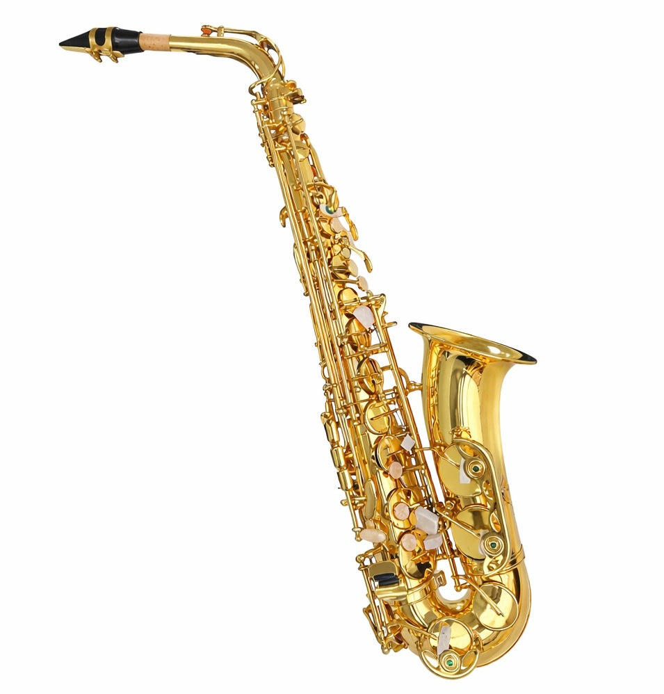 Cabrera Music Beginner Alto Saxophone Kit-Teacher Recommended